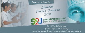 julienne
